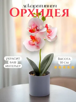 Отзыв на 