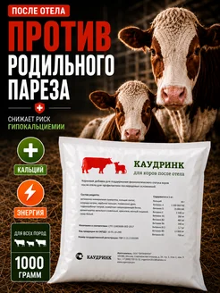 Отзыв на 