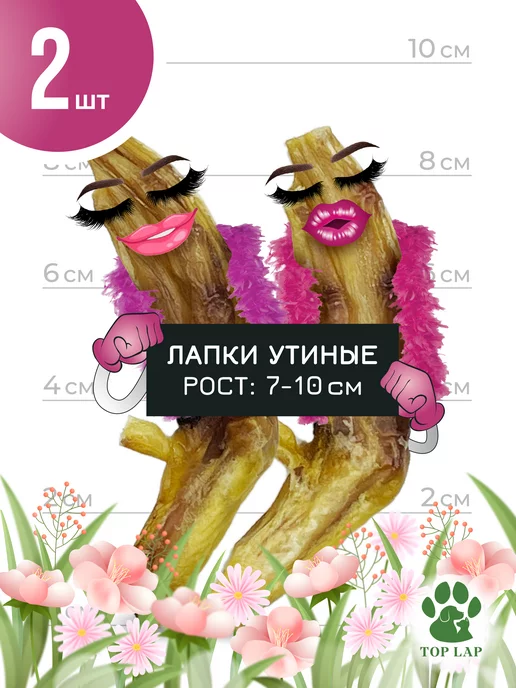 Отзыв на 