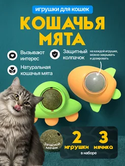 Отзыв на 