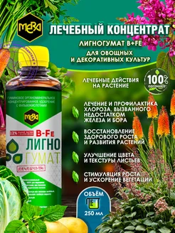 Отзыв на 