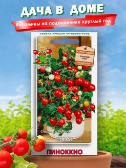 Отзыв на Семена томата черри пиноккио семена помидоров рассада поиск