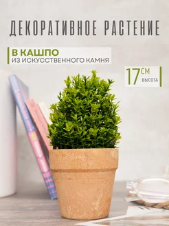 Отзыв на 