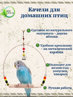 Отзыв на Качели для птиц канареек попугаев кольцо игрушка подвесная