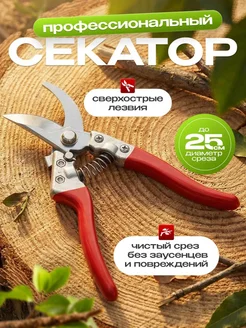 Распродажа 