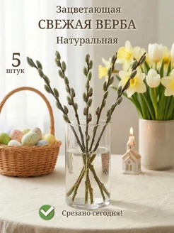Отзыв на 