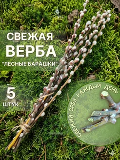Отзыв на 