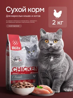 Отзыв на 