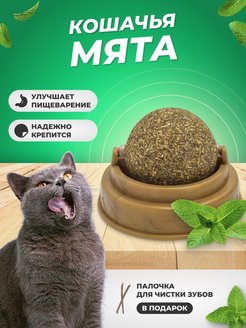 Отзыв на лакомство для кошки,игрушка для кошек