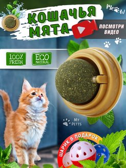 Отзыв на Игрушка для кошек и котов кошачья мята шарик леденец