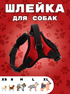 Отзыв на Шлейка для собак