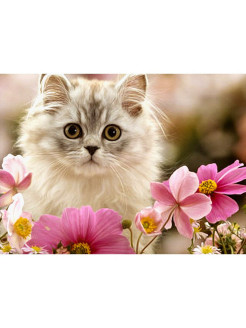 Распродажа .