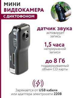 Отзыв на Мини-видеокамера диктофон, запись голоса, видеокамера портативная, мини камера с датчиком звука