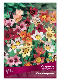 Распродажа 