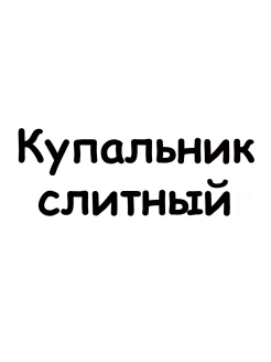 Отзыв на купальники женские/раздельный/слитный
