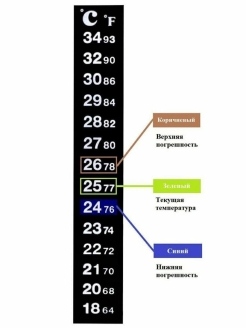 Распродажа 