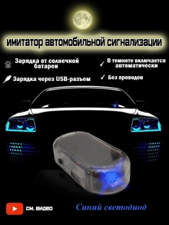 Отзыв на Имитатор автомобильной сигнализации / автосигнализация / муляж / сигнализация для дома дачи.