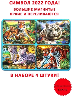 Отзыв на Магнит