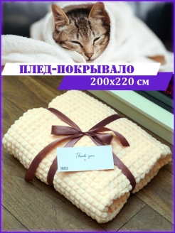 Отзыв на Пледы