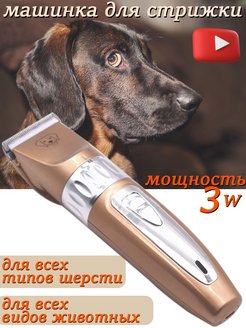 Отзыв на Машинка триммер для стрижки животных/Для собак/Для кошек/Груминг/Машинка аккумуляторная/Ножи/Лезвие