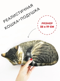 Отзыв на Мягкая игрушка Кот подушка антистресс подарок прикол детский животные для мальчика девочек взрослых