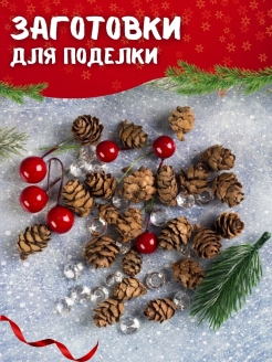 Отзыв на Шишки для поделок / Сосновые шишки природный материал для рукоделия, для декора