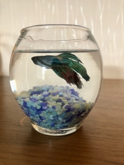 Распродажа 