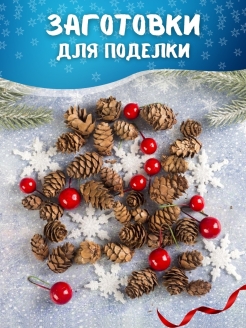 Отзыв на Шишки для поделок / Сосновые шишки природный материал для рукоделия, для декора