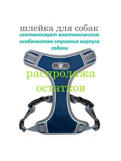 Отзыв на Анатомическая шлейка для собак 