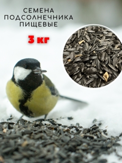 Отзыв на Семечки подсолнечника сырые для птиц/Корм для птиц