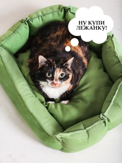 Отзыв на Лежанка для кошек кота и собак мелких пород, лежак домик для собаки кошки товары для кошек и собак