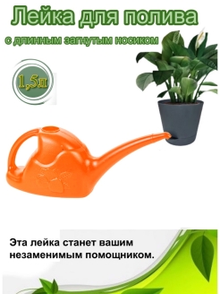 Отзыв на Лейка комнатная