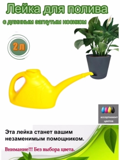 Отзыв на Лейка комнатная