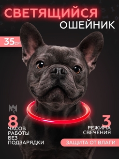 Отзыв на Светящийся ошейник для маленьких и средних собак, с USB зарядкой, 35 см, LED неоновый, силиконовый