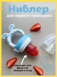 Отзыв на Ниблер соска с сеточкой для первого прикорма пустышка грызунок ложка прорезыватель для кормления