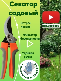 Отзыв на Секатор профессиональный, садовый,  секаторы для сада и огорода для растений цельнокованый сучкорез