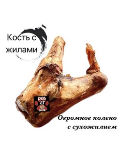 Отзыв на Лакомство для собак, нога, кость из жил