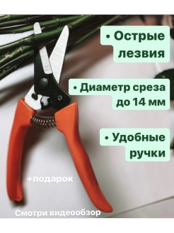 Отзыв на Секатор, садовые ножницы, для обрезки, для дома, для сада, для веток, для цветов, для растений