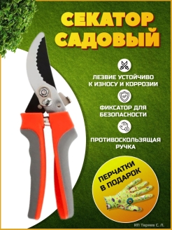 Отзыв на Секатор
