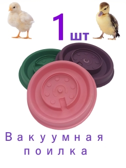 Отзыв на поилка для птиц / для кур / поильник для цыплят / утят / под банку / поилка вакуумная / для грызунов