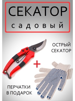 Отзыв на Секаторы
