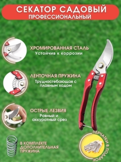 Отзыв на Секатор профессиональный ножницы садовые сучкорез кусторез обрезка веток комнатных растений цветов