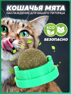 Отзыв на Игрушка для кошек и котов , кошачья мята , шарик, леденец, лакомство для кошки, товар для животных.