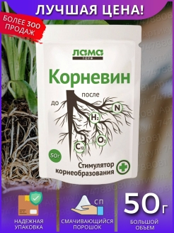 Отзыв на Корневин