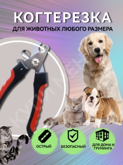Отзыв на Когтерез для кошек и собак Когтерезка животных товары Ножницы Груминга когтей ногтей кота крыс щипцы