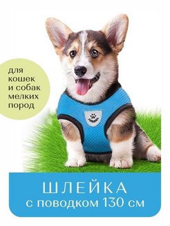 Отзыв на Шлейка прогулочная для собак и кошек мелких и средних пород с поводком,амуниция для собак,ошейник