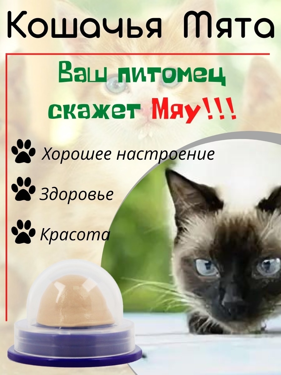 Отзыв на Лакомство кошачья мята шарик для кошек, вкусняшки кота, игрушка леденец, витамины смесь для животных