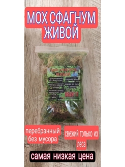 Отзыв на Мох стабилизированный