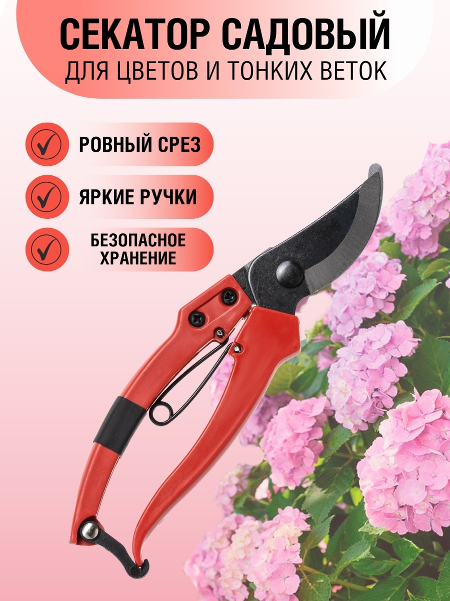 Распродажа 