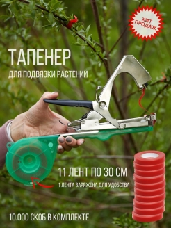 Отзыв на Тапенер